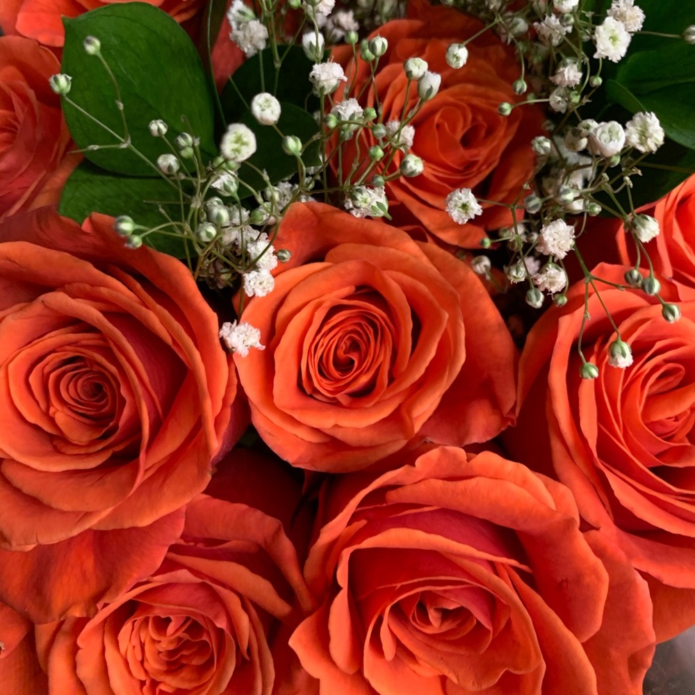 Meet your Posher, Jodi